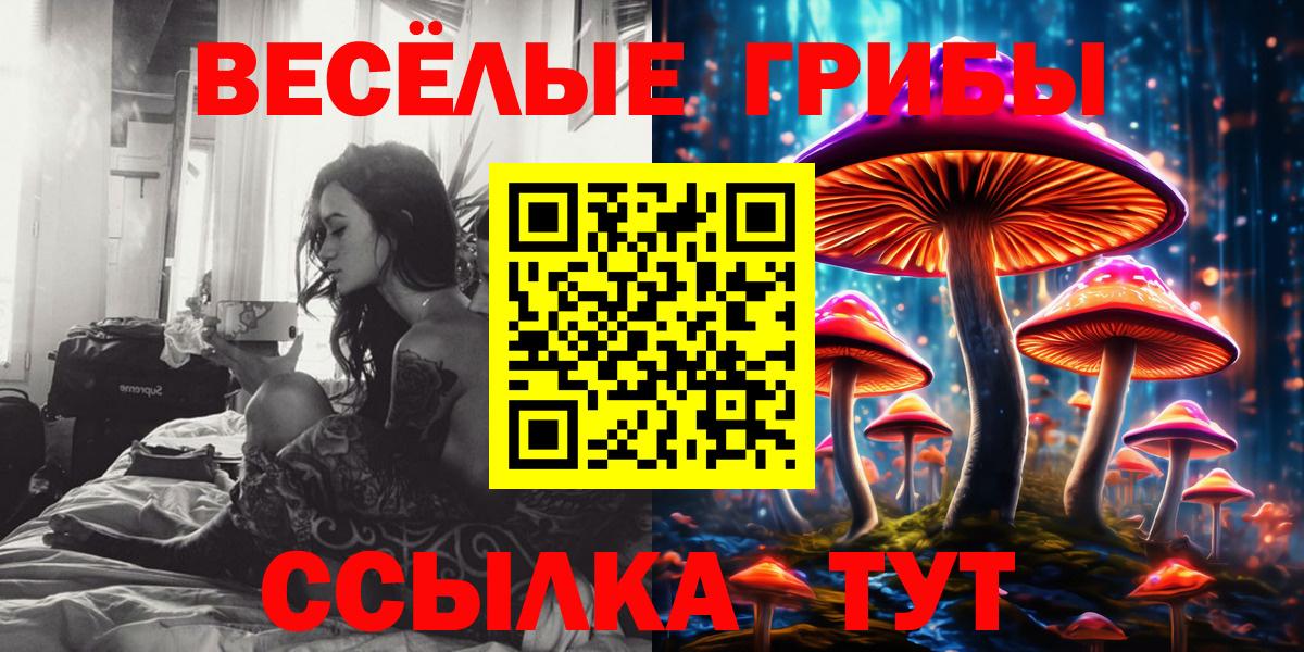 Псилоцибиновые грибы мицелий Ирбит